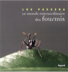 Le monde extraordinaire des fourmis