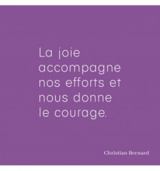 La joie accompagne nos efforts et nous donne le courage