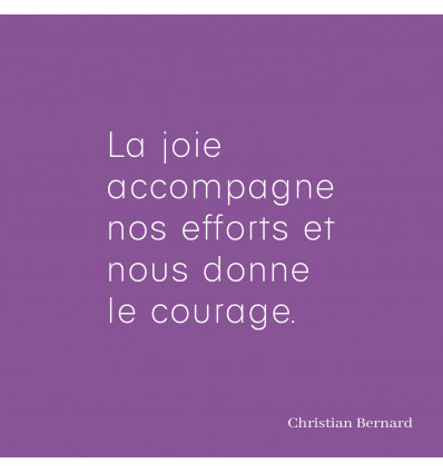 La joie accompagne nos efforts et nous donne le courage