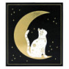 Chat assis sur la lune