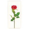 MARQUE PAGE MAGNETIQUE ROSE ROUGE SUR TIGE