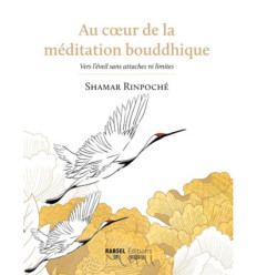 Au cœur de la méditation bouddhique